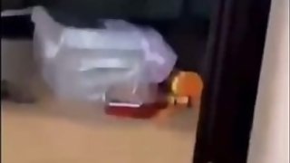 Onlyfans chick rub on that pretty pussy