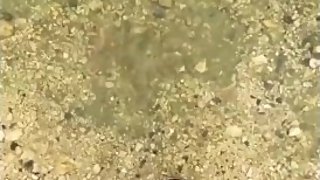 My personal feet - If you want more, send me a message!