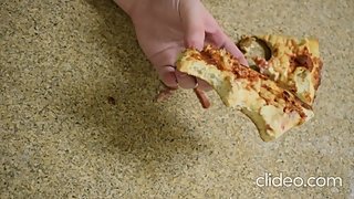 Pizza with a Side of Squirt on my Countertop